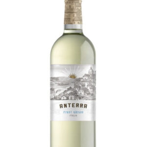 Anterra Pinot Grigio 2024 - 750 ML