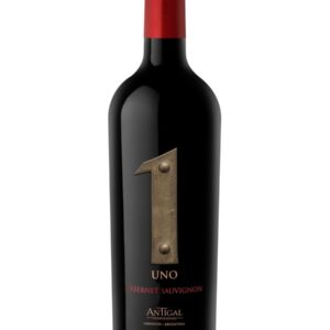Antigal Uno Cabernet Sauvignon 2020 - 750 ML