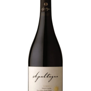 Apaltagua Reserva Pinot Noir 2022 - 750 ML