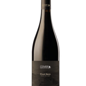 Cembra Pinot Nero 2024 - 750 ML