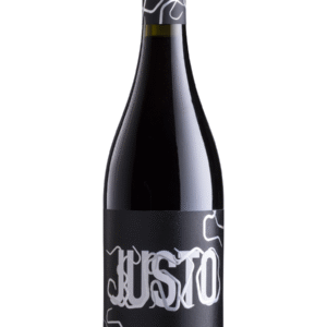 Cesari Justo Veneto IGT Appassimento 2021 - 750 ML
