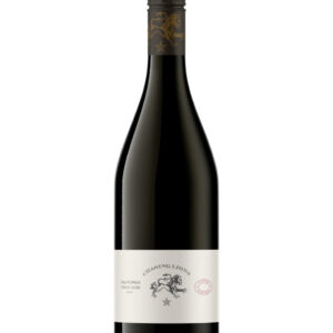 Chasing Lions Pinot Noir 2024 - 750 ML