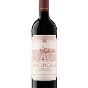 Dominio de Eguren Protocolo Tinto 2023 - 750 ML