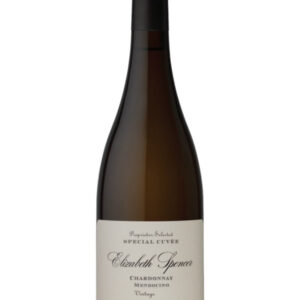 Elizabeth Spencer Organic Cabernet Sauvignon Napa 2021 - 750 ML