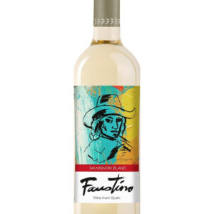 Faustino Art Collection Sauvignon Blanc Rioja 2022 - 750 ML