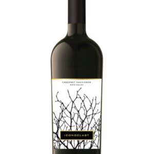 Iconoclast Cabernet Sauvignon Napa Valley 2021 - 750 ML