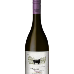 Le Grand Noir Pinot Noir 2024 - 750 ML