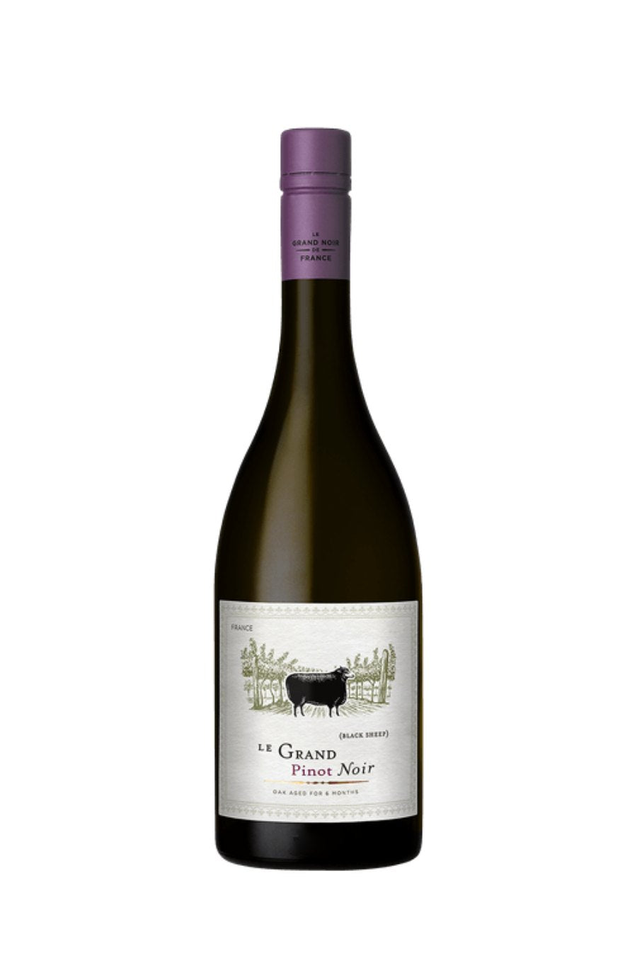 Le Grand Noir Pinot Noir 2024 - 750 ML