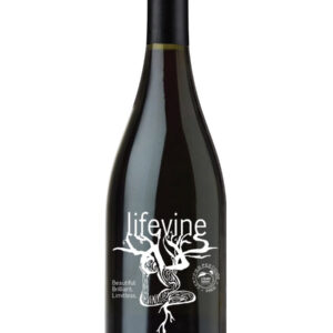 LifeVine Pinot Noir 2024 - 750 ML