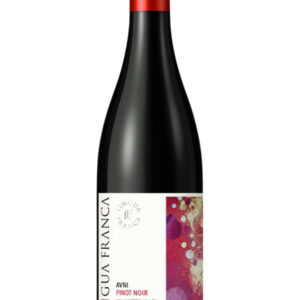 Lingua Franca Avni Pinot Noir 2023 - 750 ML