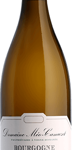 Méo-Camuzet : Bourgogne Hautes-Côtes de Nuits "Clos Saint-Philibert" Domaine Monopole 2023