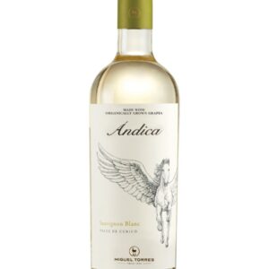Miguel Torres Andica Sauvignon Blanc 2023 - 750 ML