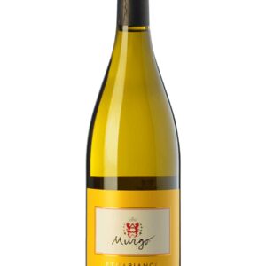Murgo Etna Bianco 2023 - 750 ML