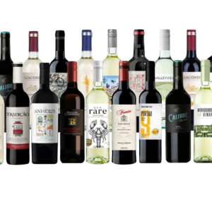 Overstock Wine Sampler Pack: 20 Bottle Case of Wine - 750ml