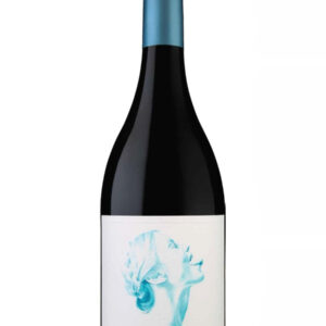 Summer Dreams Super Chill Pinot Noir 2022 - 750 ML