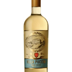 Villa Puccini Pinot Grigio 2023 - 750 ML
