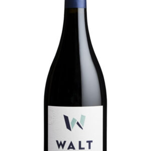Walt Pinot Noir Blue Jay 2023 - 750 ML